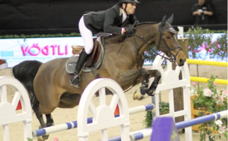 Guerdat Steve, Nino des Buissonnets 