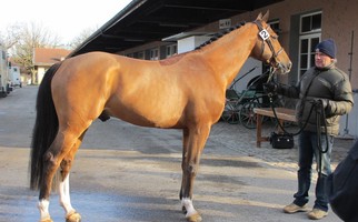 K2013_Fo_Ulmann du Ter