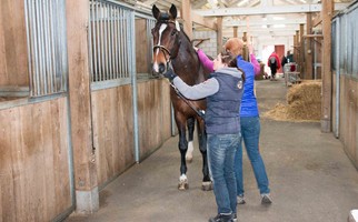 Contrôle vétérinaire