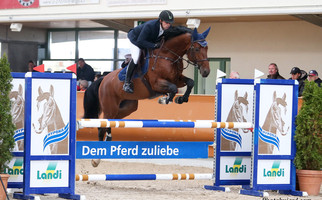 Tinka's Man CH, définitivement approuvé par CHEVAL SUISSE en 2015