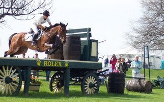 Gazelle de la Brasserie