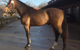 Captain Jack Sparrow