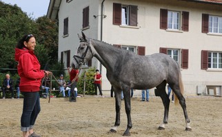 Resultate Beurteilung 2016