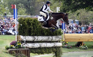 Gazelle de la Brasserie