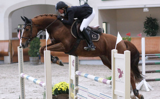 Cindy Luthi mit Rock'n Roll du Cornu CH