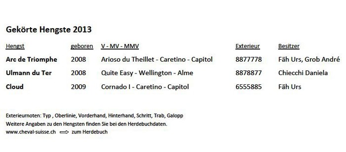 K2013_Gekörte Hengste