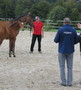 Appréciation des juments et des poulains 2016