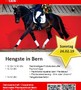 Hengste in Bern 24.02.2019