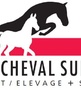 Reaktion von CHEVAL SUISSE auf den Artikel des Cavalier Romand